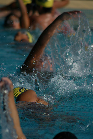 Belen Jesuit Junior High 2008 Swimming