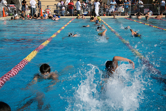 Belen Jesuit Junior High 2008 Swimming