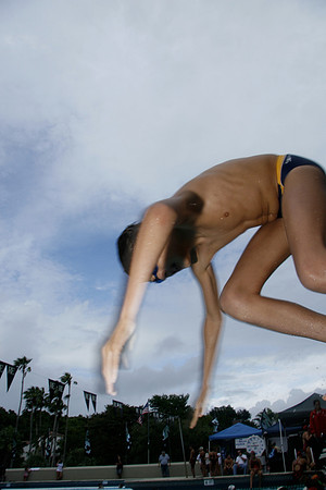 Belen Jesuit Junior High 2008 Swimming