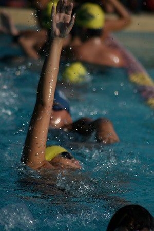 Belen Jesuit Junior High 2008 Swimming